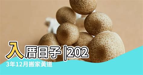 2023農民曆入宅|選日子（黃道吉日查詢）